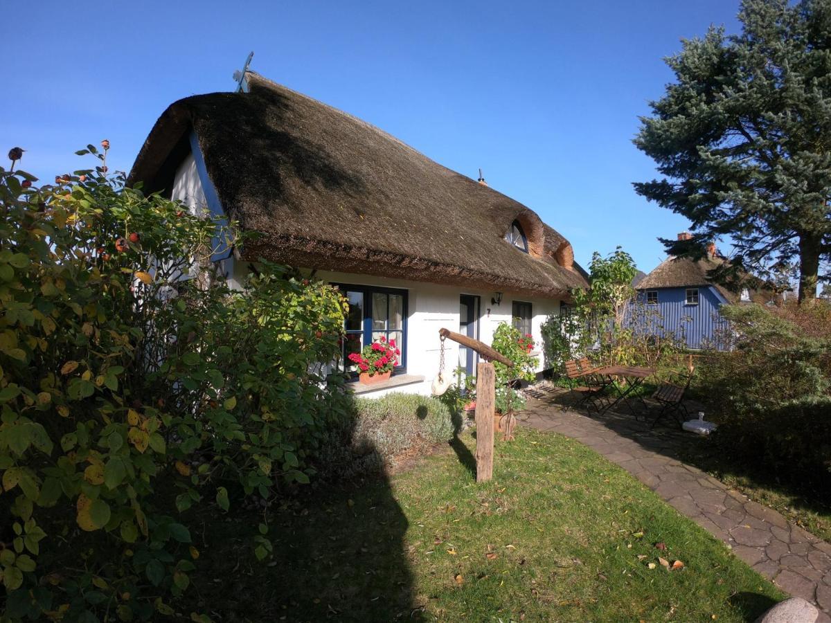 Landhaus Darss 维克 外观 照片