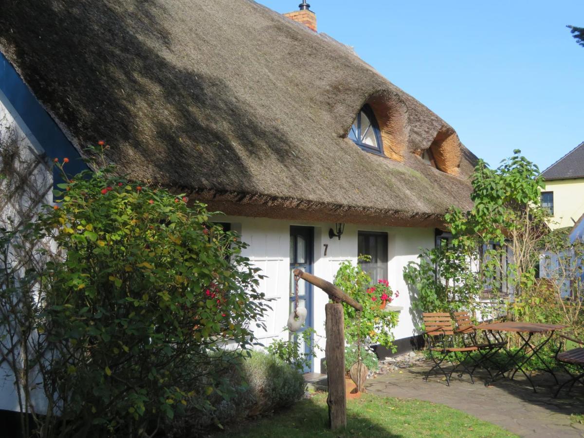Landhaus Darss 维克 外观 照片