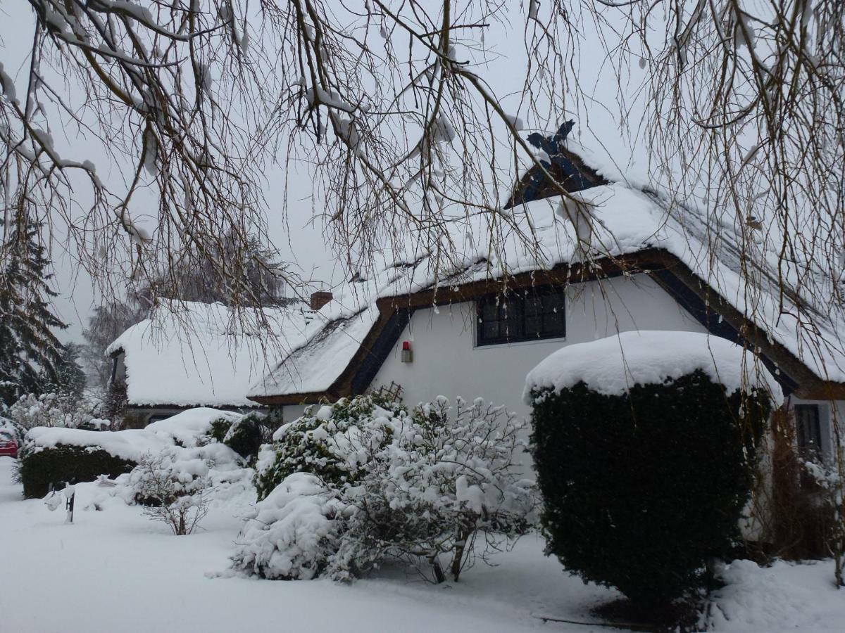 Landhaus Darss 维克 外观 照片